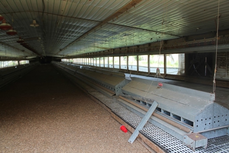 Four House Breeder Farm For Sale in Americus, GA - image 14