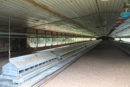 Four House Breeder Farm For Sale in Americus, GA - image 17