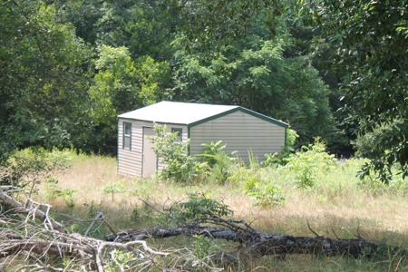 Four House Breeder Farm For Sale in Americus, GA - image 38
