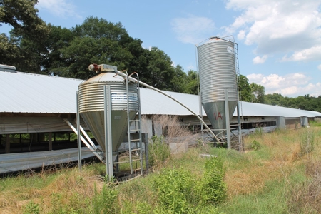 Four House Breeder Farm For Sale in Americus, GA - image 20