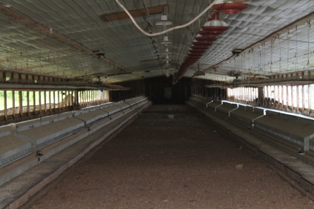 Four House Breeder Farm For Sale in Americus, GA - image 19