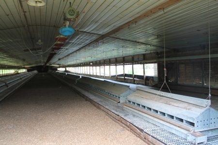 Four House Breeder Farm For Sale in Americus, GA - image 18