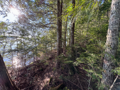 Maine Lakefront Land for Sale - image 18