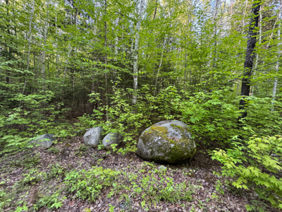 Maine Lakefront Land for Sale - image 10