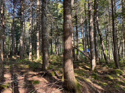 Maine Lakefront Land for Sale - image 20