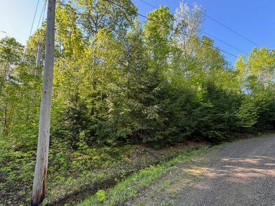 Maine Lakefront Land for Sale - image 22