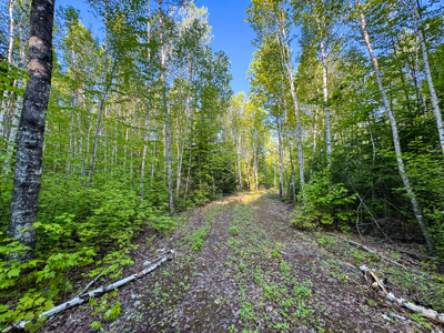 Maine Lakefront Land for Sale - image 9