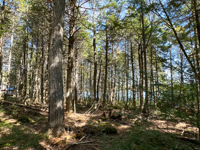 Maine Lakefront Land for Sale - image 25
