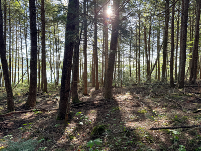 Maine Lakefront Land for Sale - image 14