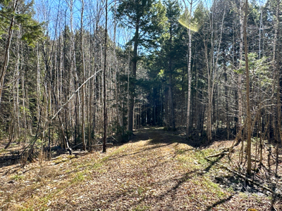 Maine Lakefront Land for Sale - image 29
