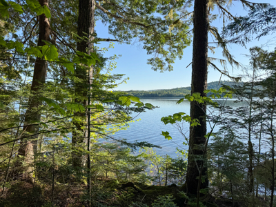 Maine Lakefront Land for Sale - image 15