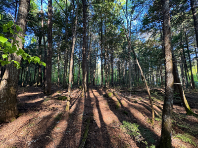Maine Lakefront Land for Sale - image 12