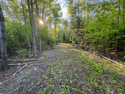Maine Lakefront Land for Sale - image 7