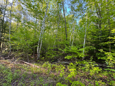 Maine Lakefront Land for Sale - image 6