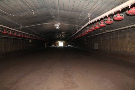 Land For Sale in Unadilla, Georgia! - image 9