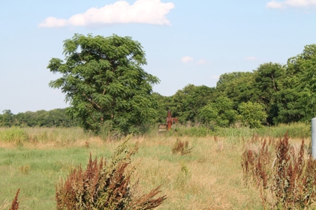 Land For Sale in Unadilla, Georgia! - image 13