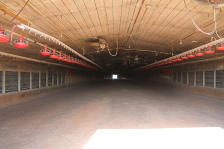 Land For Sale in Unadilla, Georgia! - image 6