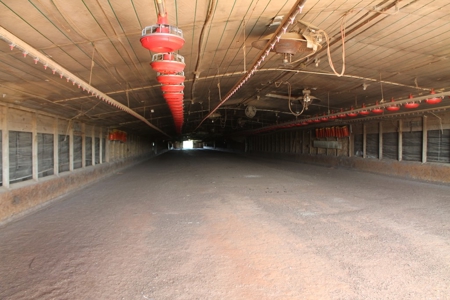 Land For Sale in Unadilla, Georgia! - image 7