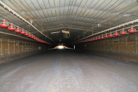 Land For Sale in Unadilla, Georgia! - image 11