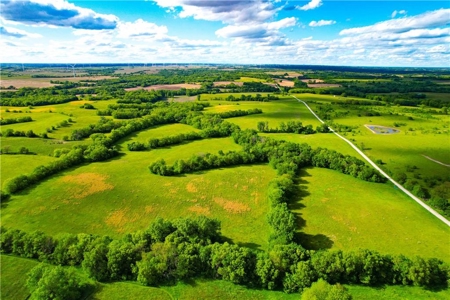 80+/- Acres Pasture and Hunting Farm Land (Potential to Row Crop) - image 5