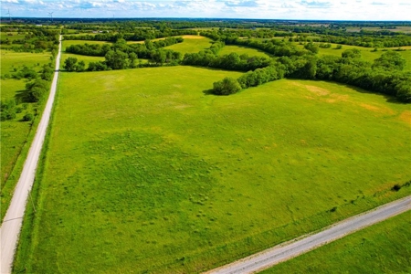 80+/- Acres Pasture and Hunting Farm Land (Potential to Row Crop) - image 1