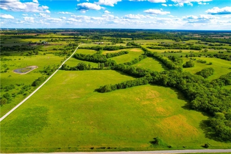 80+/- Acres Pasture and Hunting Farm Land (Potential to Row Crop) - image 2