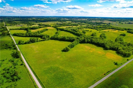 80+/- Acres Pasture and Hunting Farm Land (Potential to Row Crop) - image 4