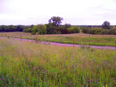 80+/- Acres Pasture and Hunting Farm Land (Potential to Row Crop) - image 14