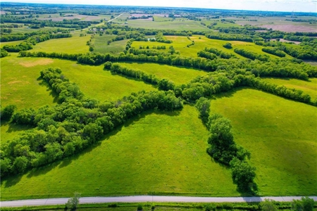80+/- Acres Pasture and Hunting Farm Land (Potential to Row Crop) - image 7