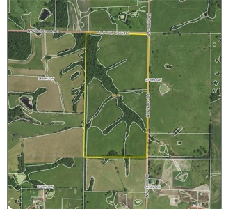 80+/- Acres Pasture and Hunting Farm Land (Potential to Row Crop) - image 17