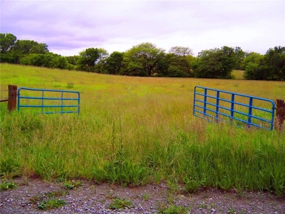 80+/- Acres Pasture and Hunting Farm Land (Potential to Row Crop) - image 9