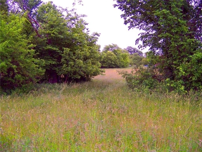80+/- Acres Pasture and Hunting Farm Land (Potential to Row Crop) - image 13