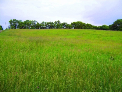 80+/- Acres Pasture and Hunting Farm Land (Potential to Row Crop) - image 11