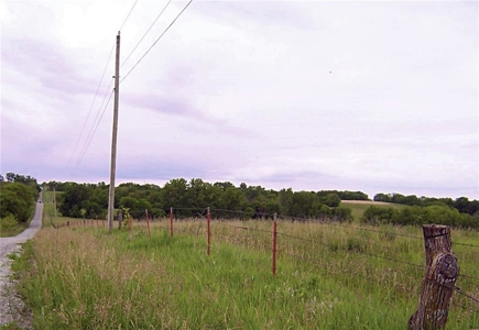 80+/- Acres Pasture and Hunting Farm Land (Potential to Row Crop) - image 15