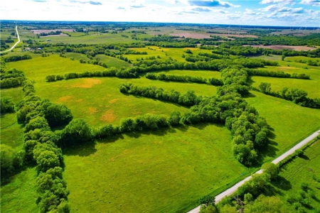 80+/- Acres Pasture and Hunting Farm Land (Potential to Row Crop) - image 6