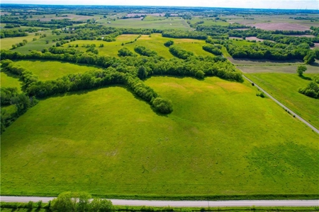 80+/- Acres Pasture and Hunting Farm Land (Potential to Row Crop) - image 8