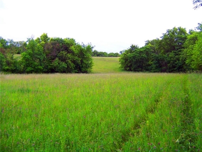 80+/- Acres Pasture and Hunting Farm Land (Potential to Row Crop) - image 12