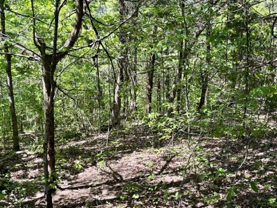 Buildable Lot in Holiday Island AR – Golf & Lake Community - image 10