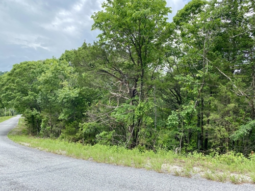 .46 Acre Buildable Lot