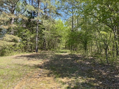 Wooded Land For Sale In Tn, Hunting Land, Land To Build On - image 29