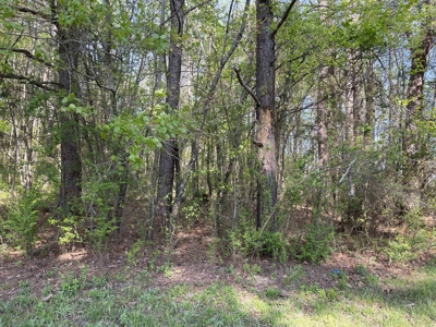 Wooded Land For Sale In Tn, Hunting Land, Land To Build On - image 15