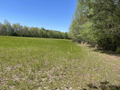 Wooded Land For Sale In Tn, Hunting Land, Land To Build On - image 27