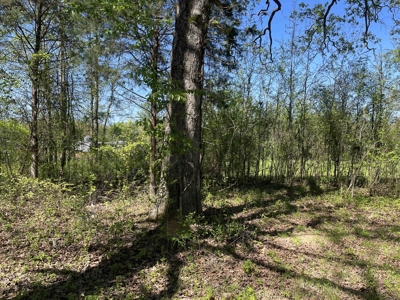 Wooded Land For Sale In Tn, Hunting Land, Land To Build On - image 31