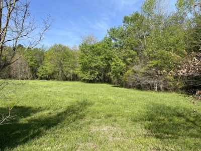 Wooded Land For Sale In Tn, Hunting Land, Land To Build On - image 17