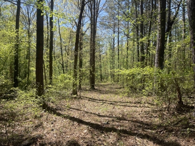 Wooded Land For Sale In Tn, Hunting Land, Land To Build On - image 5
