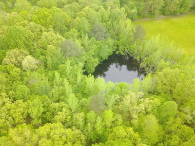 Wooded Land For Sale In Tn, Hunting Land, Land To Build On - image 2