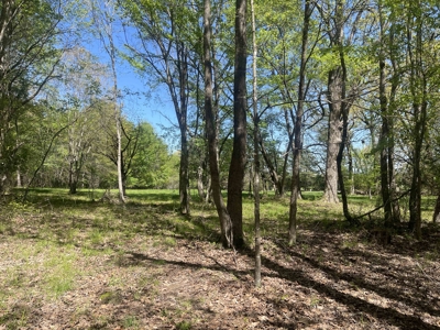 Wooded Land For Sale In Tn, Hunting Land, Land To Build On - image 18