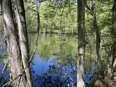 Wooded Land For Sale In Tn, Hunting Land, Land To Build On - image 11