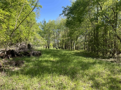 Wooded Land For Sale In Tn, Hunting Land, Land To Build On - image 33