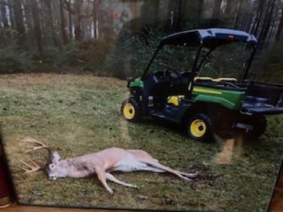 Turnkey Pike County, MS 70 Acres Hunting Property - image 35